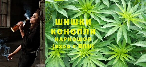 круглые Бородино